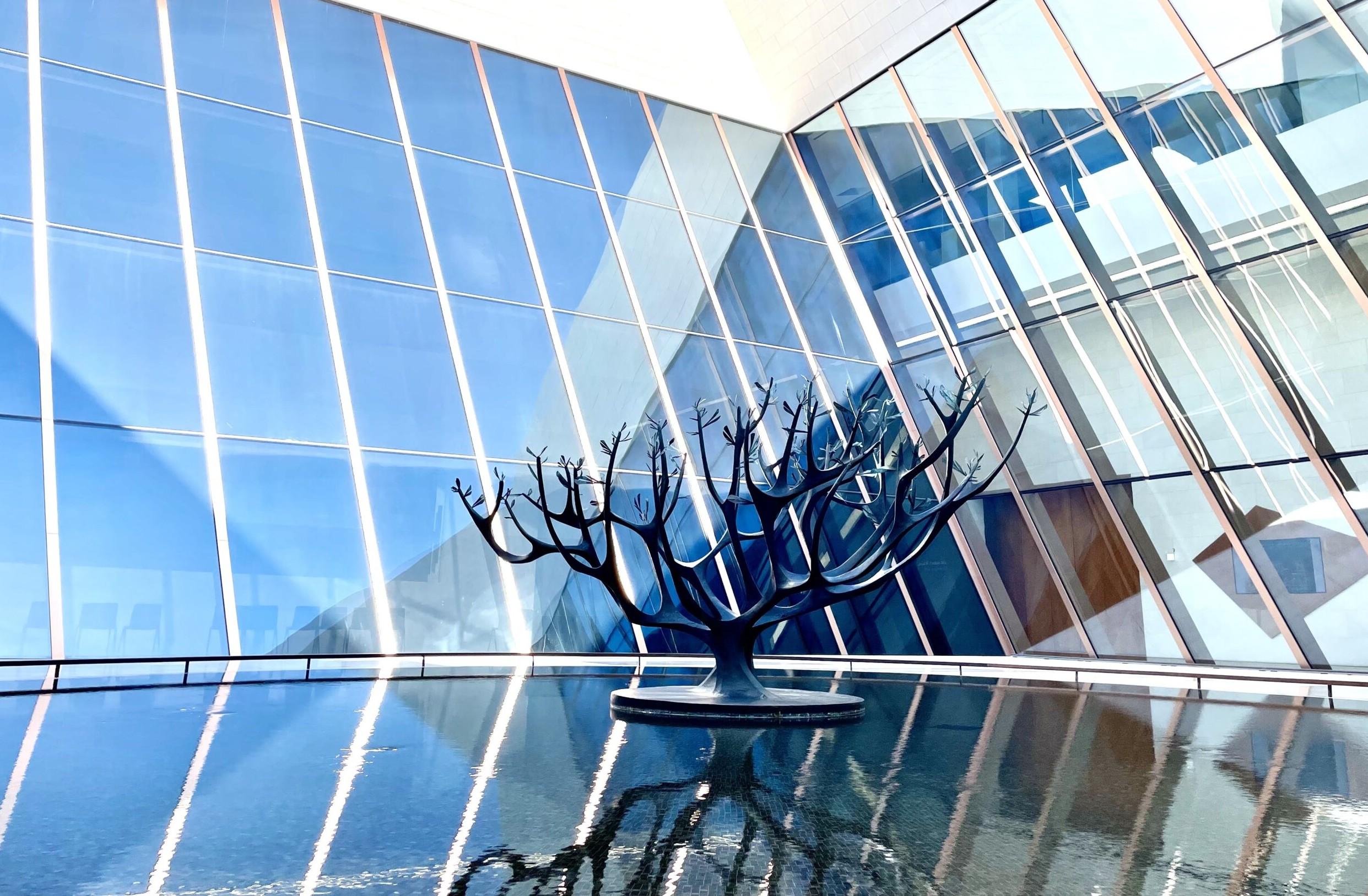 Mirror pool and tree sculpture in contemporary Omani architecture
